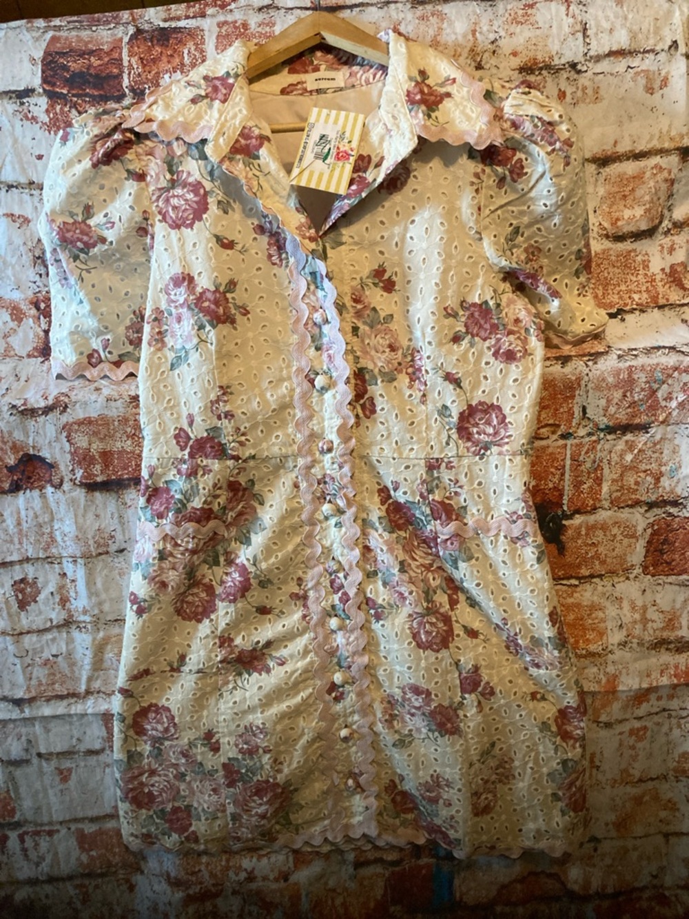 Tea Party Mini Dress-Rose Sz Small AUREUM NWT